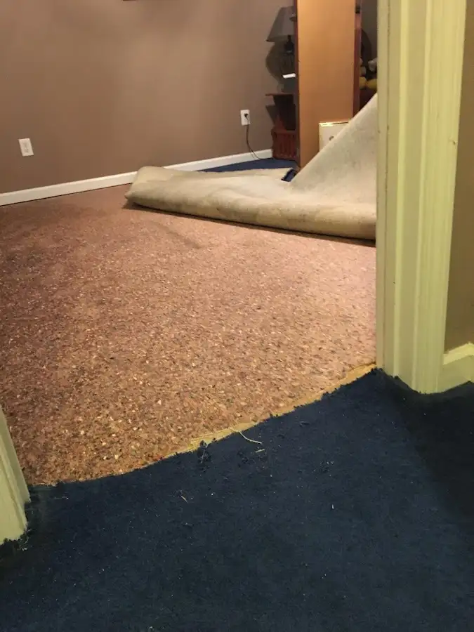 Carpet pad removal revealing water damage during Water Mitigation Services in Readington