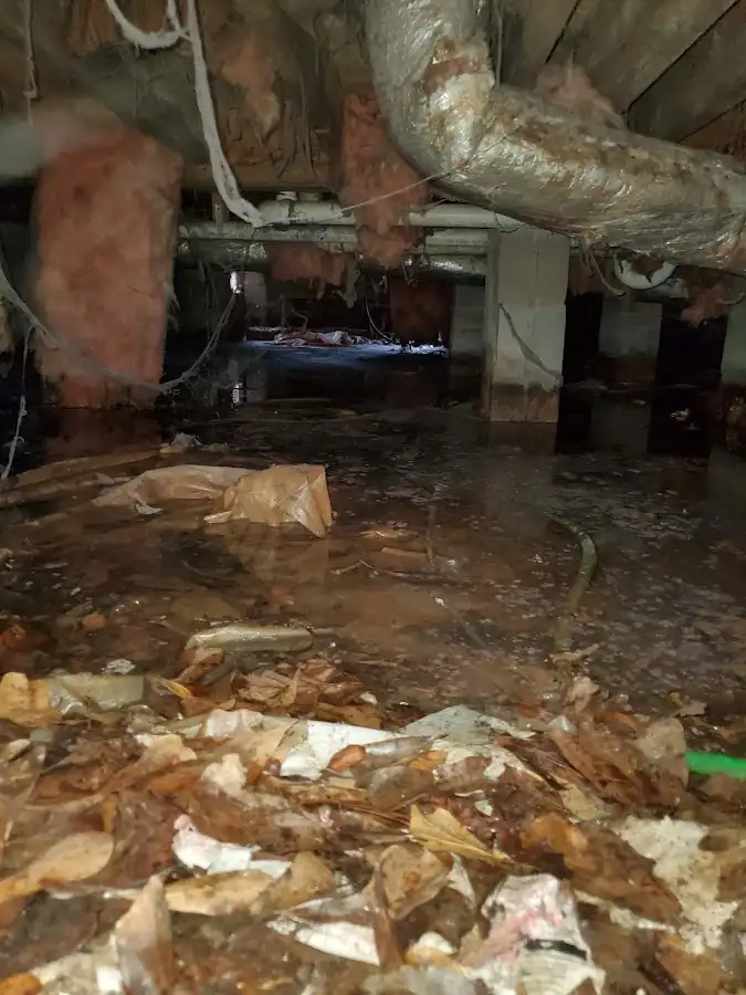 Crawl space flood assessment for Leak Detection & Repair in Readington
