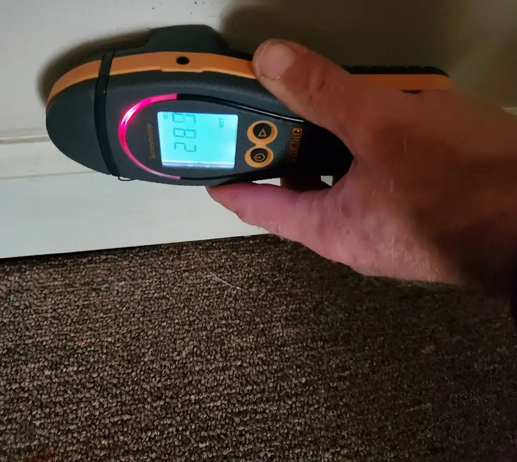 Moisture detection at baseboard during Sewage Cleanup & Sanitation in Readington